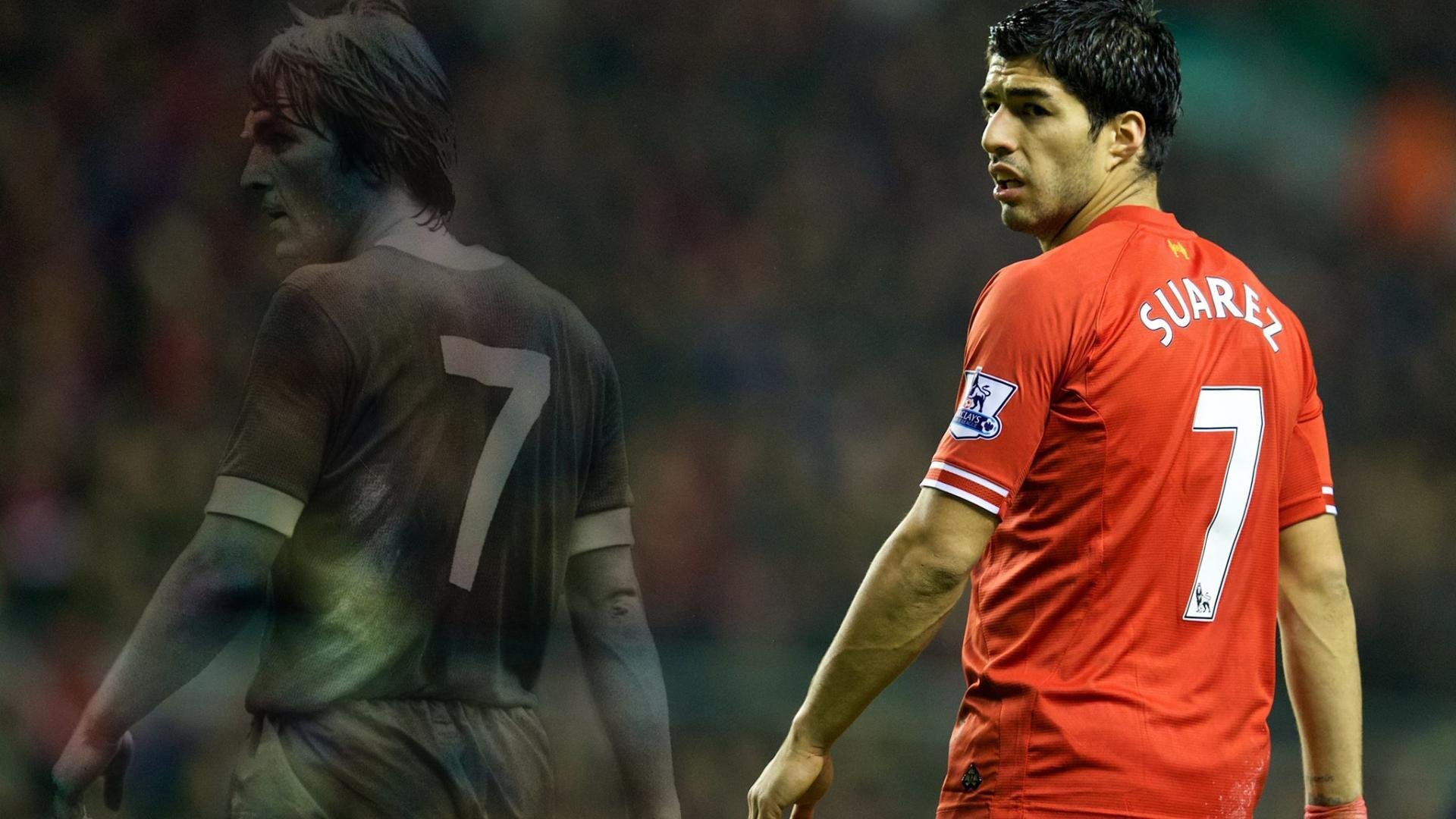 世界拳击名录更新，格局重整，世界拳击名录更新,格局重整